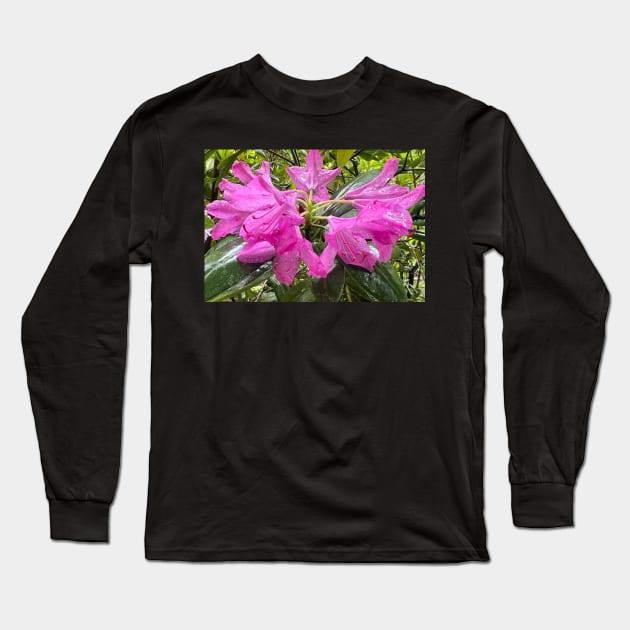 Summer Pink Rhododendron Riot in the Rain Long Sleeve T-Shirt by Photomersion